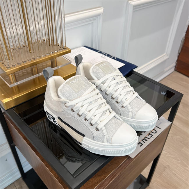 Dior B23 Low Top
