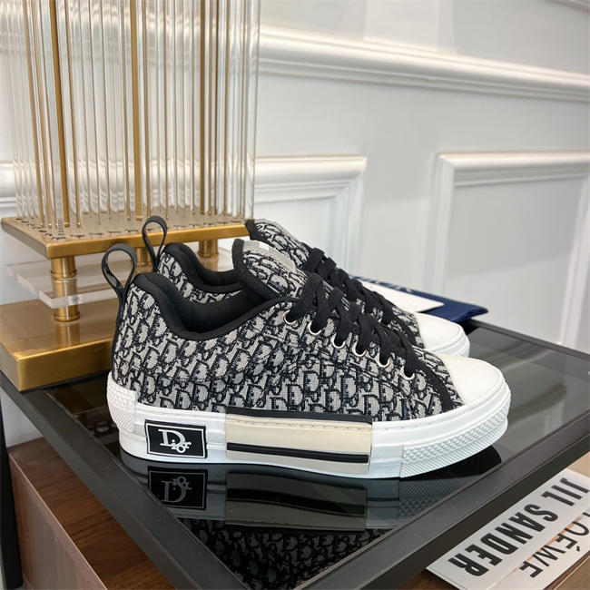 Dior B23 Low Top