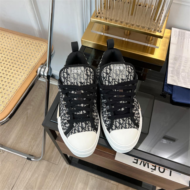 Dior B23 Low Top