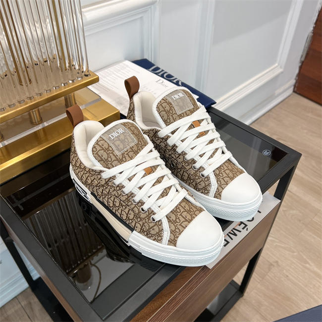 Dior B23 Low Top