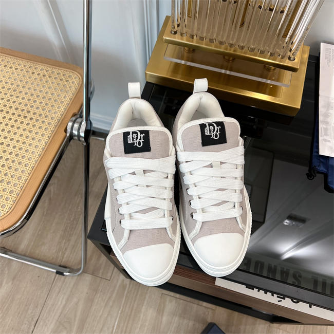 Dior B23 Low Top