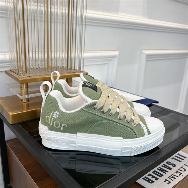 Dior B23 Low Top