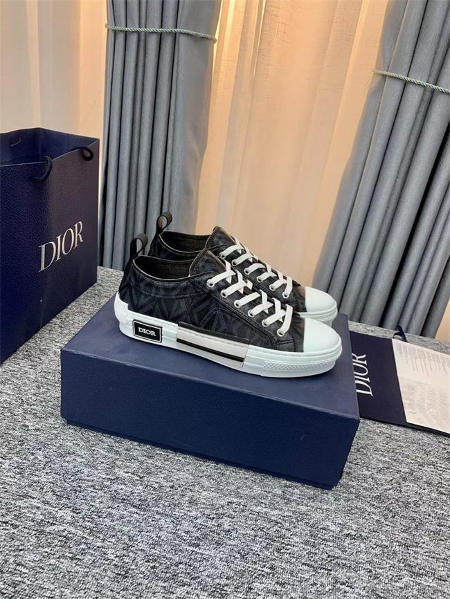 Dior B23 Low Top