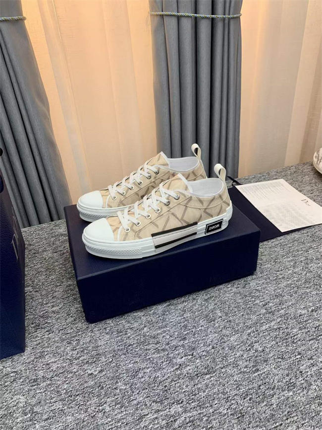 Dior B23 Low Top