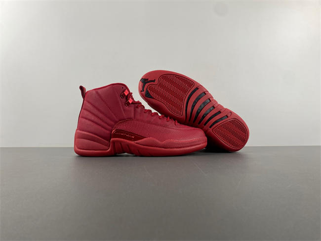 Air Jordan 12 Retro